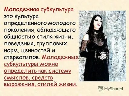 Сетевая субкультура это