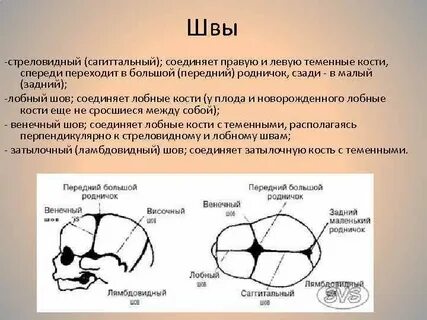 Швы и размеры головки