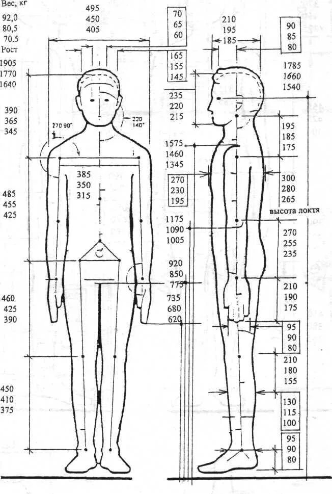 Длина рук составляет. Антропометрия эргономика мужчины. Эргономические антропометрические параметры человека. Антропометрические Размеры тела человека таблица. Перцентиль антропометрия.