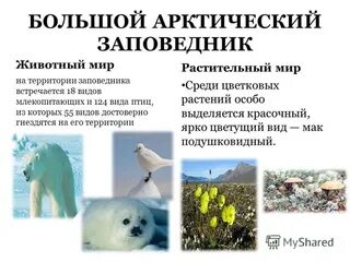 Какой заповедник создан в зоне пустынь