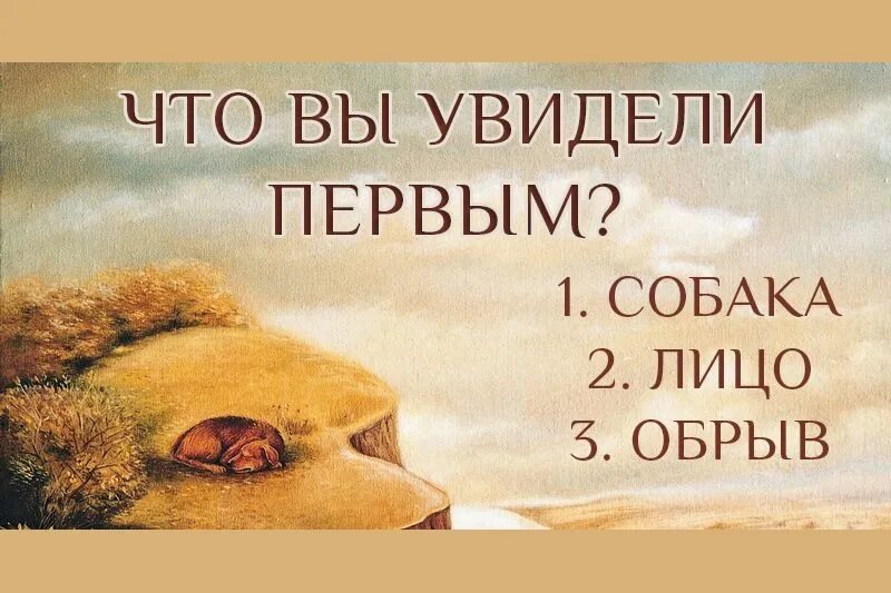 Что вы увидели первым. Что первое увидишь. То что вы увидите первым. Что вы увидели первым на картинке.