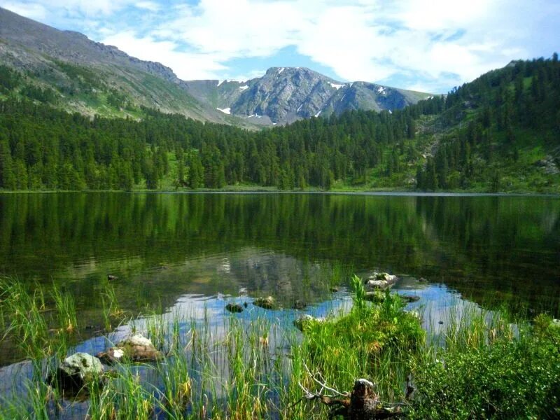Каракольские озера. ЕЖЕЛУКОЛЬ озеро горный Алтай. Озеро рисовое Алтайский край. Каракольские озёра горный.