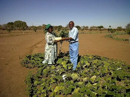 Most of africa s rural