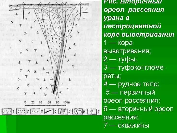 Первичные и вторичные ореолы рассеяния. Вторичные ореолы рассеяния. Первичные и вторичные ореолы рассеяния. Геохимические ореолы рассеяния. Первичные и вторичные ореолы рассеяния.