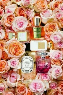 Rose fragrance