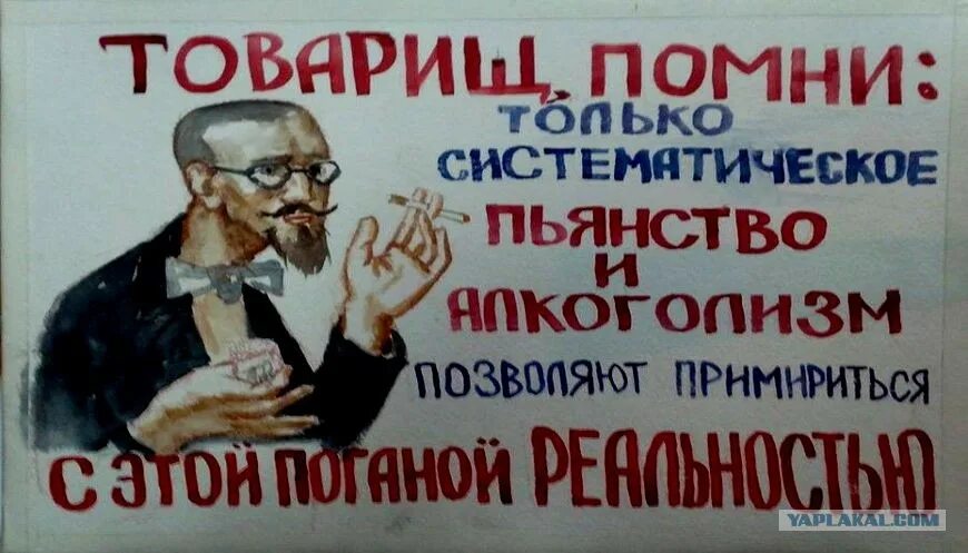 Тобин белл пила. Пил беспробудно. Пил беспробудно. Девон бостик пила 4. Пил беспробудно.