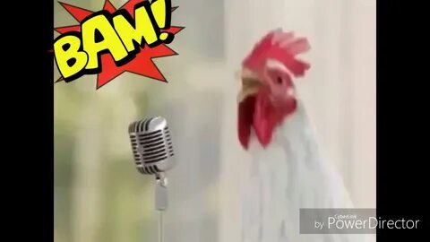 Голос петуха