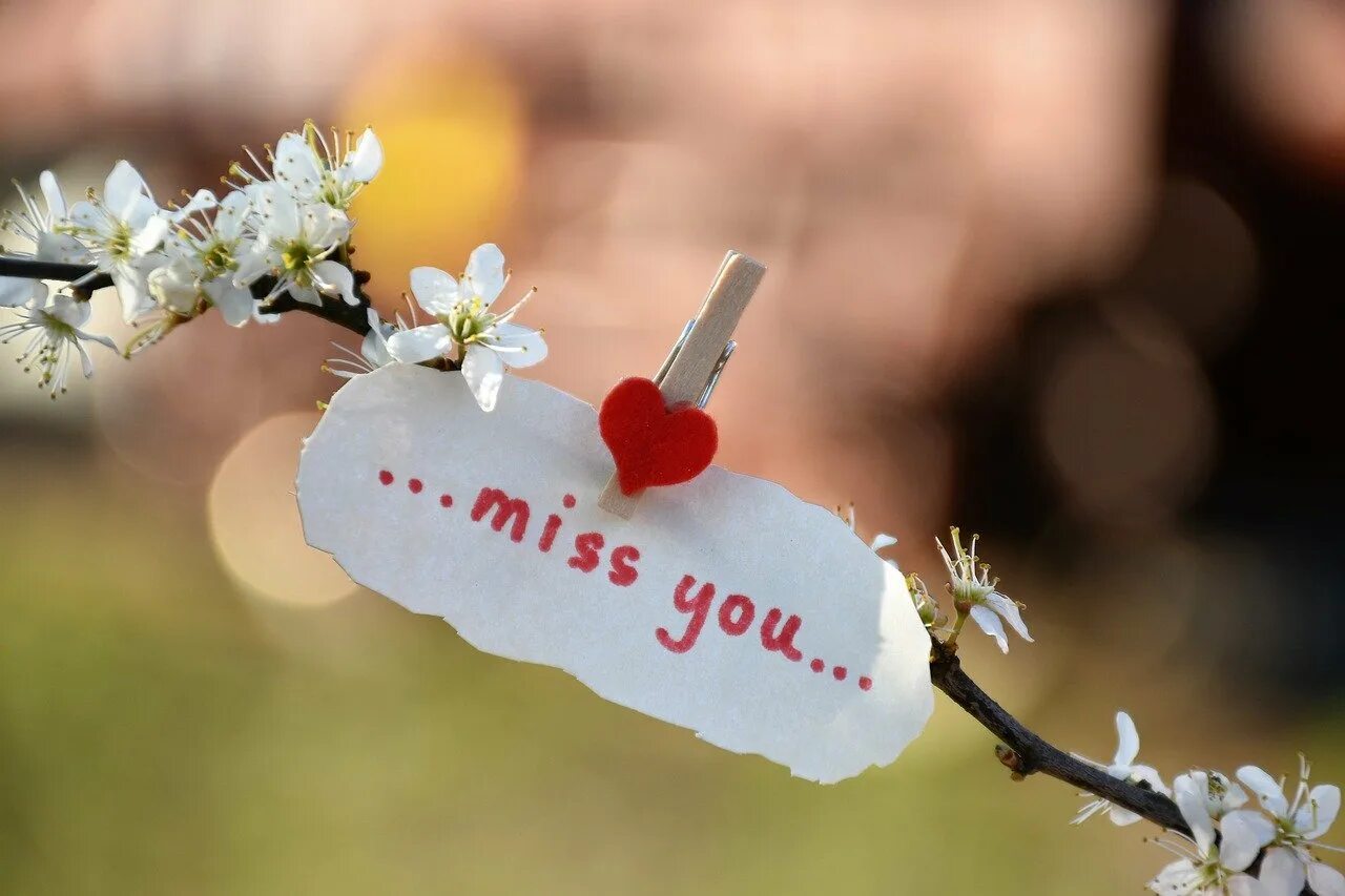 Message is