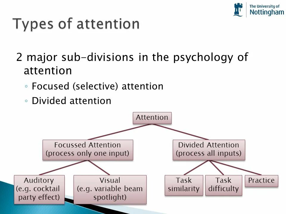 Attention Psychology. Types of attention. Properties of attention Psychology. Types of attention in Psychology. Attention предложения