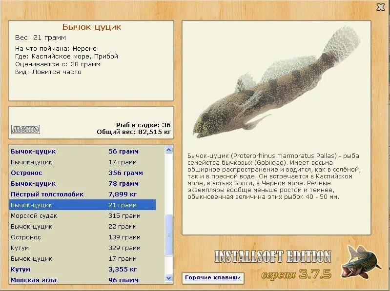 Трофейный бычок. Цуцик перевод на русский. Бычки описание. Рыбка цуцик. Цуцик мем.