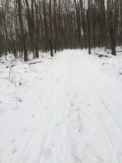 Борисово погода сегодня