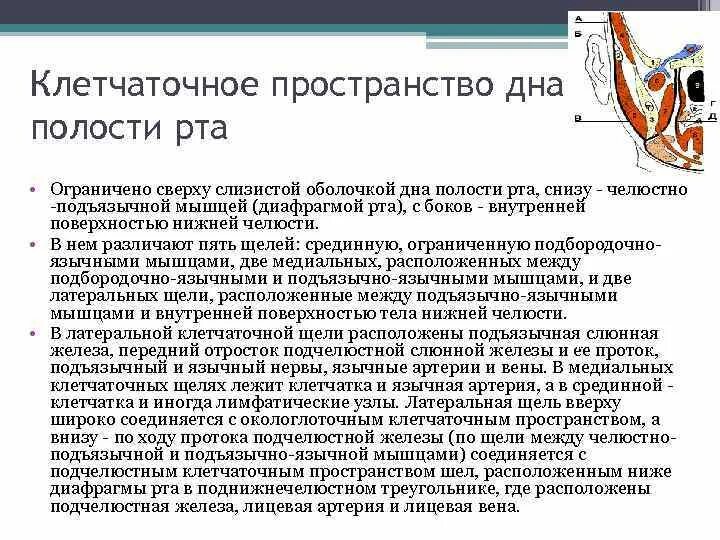 Пространства полости рта. Клетчаточное пространство дна полости рта. Латеральное клетчаточное пространство дна полости рта. Боковые клетчаточные пространства дна полости рта. Клетчаточные пространства дна полости рта анатомия.