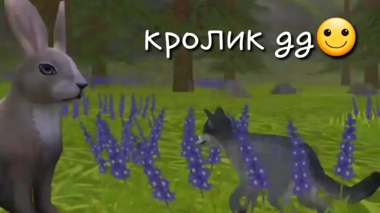 Баг в вилд. WILDCRAFT на зелёном фоне.