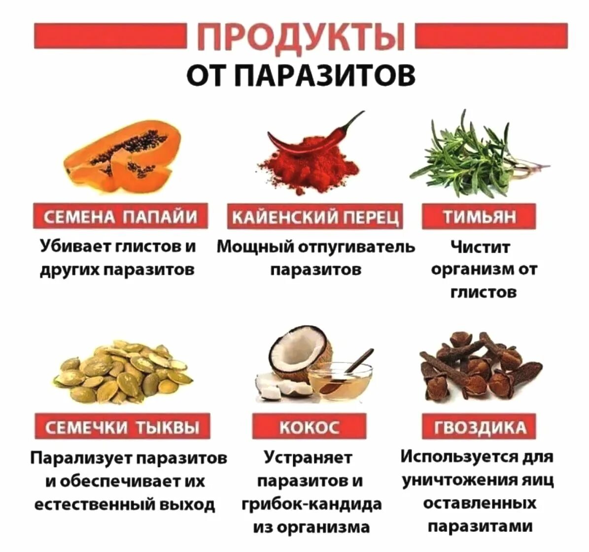 Домашнее средство от глистов у людей. Продукты от паразитов. питание против глистов. продукты от глистов и паразитов. продукты для выведения паразитов из организма.