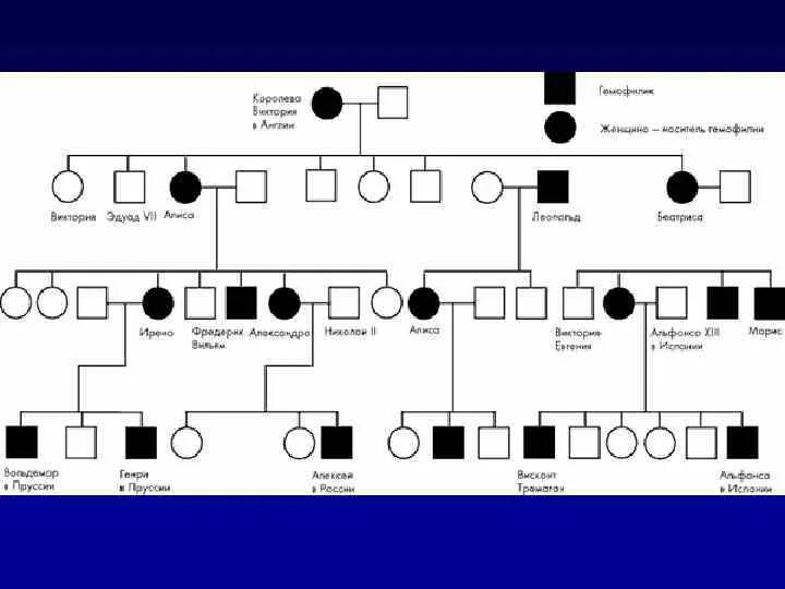 Родословная дерево генетика. Родословная семьи схема генетика. Генетическая родословная семьи пример. Родословная схема по генетике пример. Древо семьи биология генетика