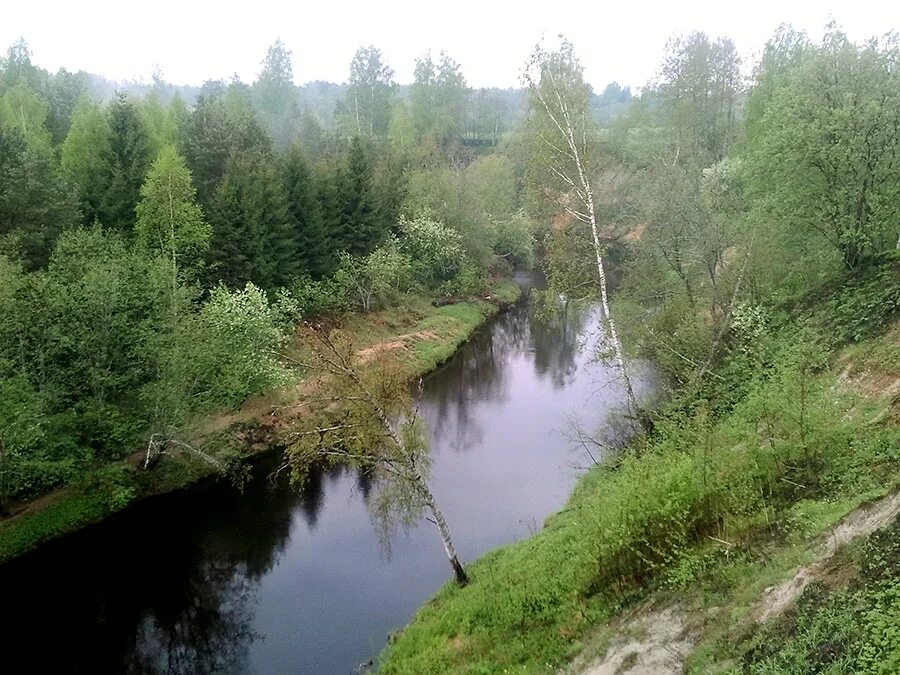 Река Долговка ящера деревня. Река ящера Лужский район. Речка ящера во Мшинской. Деревня Долговка Лужского района.