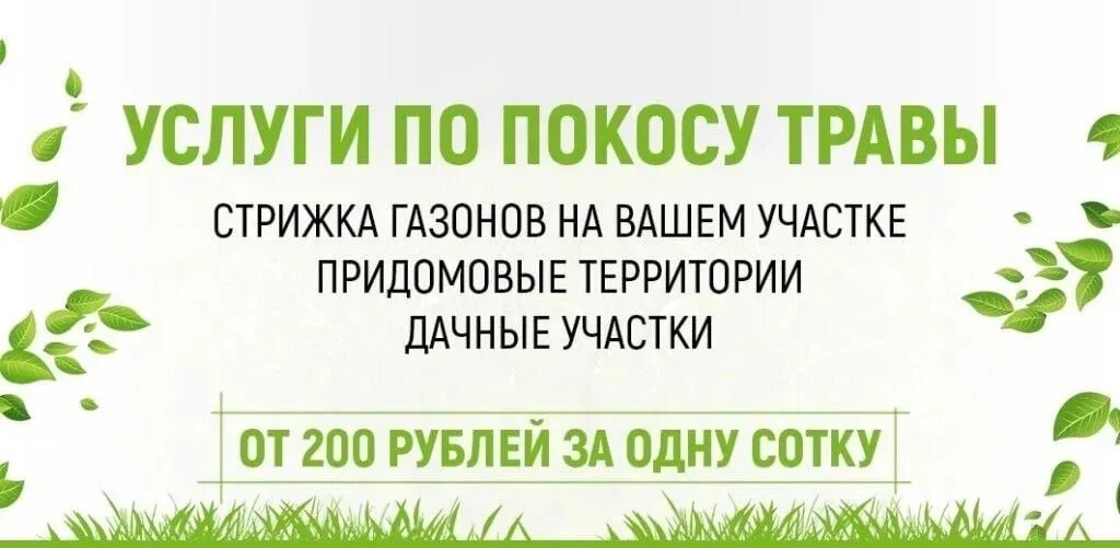 Автор на твоей киске стригут газон. Анекдот про лужайку. Активный гражданин от дворников. Покос травы грузоперевозки. На твоей киске стригут газон текст.