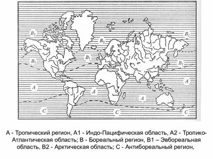 Тропические регионы