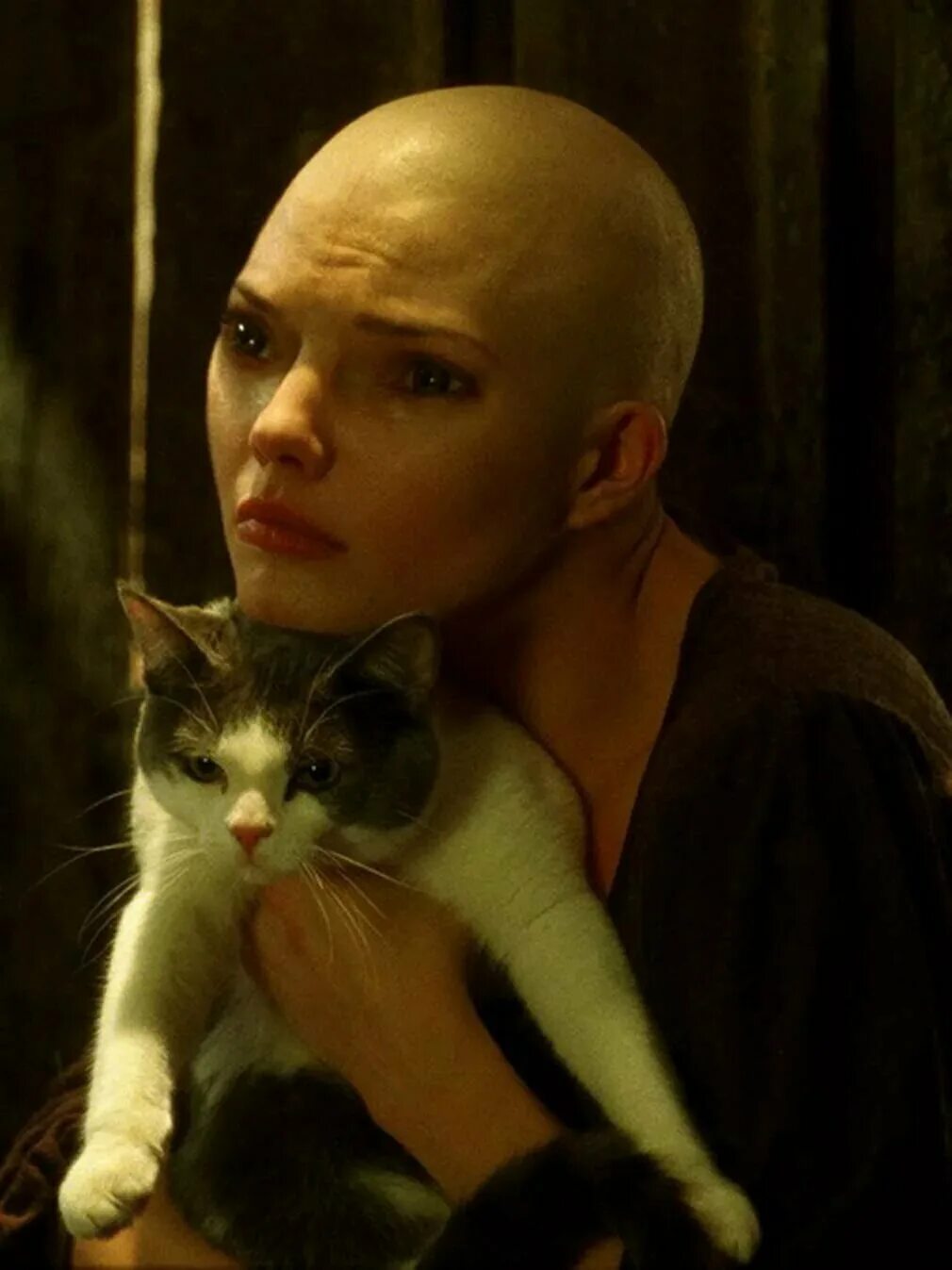 Химера информации. Химера (винченцо натали, 2009).