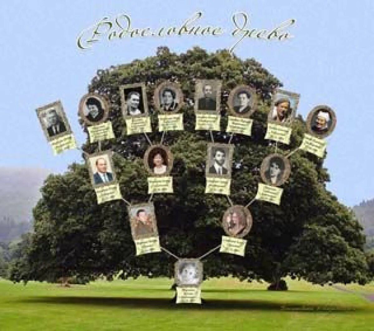 фото генеалогический. генеалогическое дерево шаблон. огузхан родословная древо. семейное древо семейки аддамс. геологическое дерево.