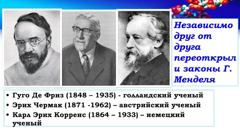 Де фриз корренс чермак. Фриз Корренс Чермак. Переоткрытие законов Менделя. Корренс генетика. Гуго де фриз вклад в биологию.