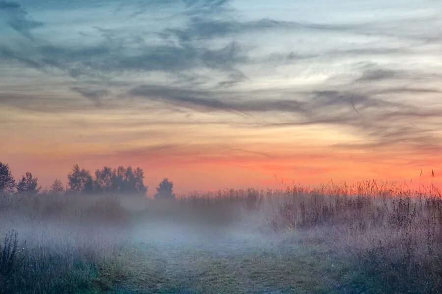 Туман в битцевском парке. Туман летом. Долина пеуси, уилтшир, туман, англия, графство, осень. Утренний туман. Карпаты румыния холмы туман.