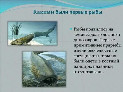Первые рыбы на суше