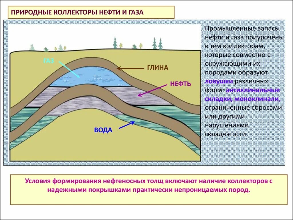 Основные типы пород-коллекторов нефти и газа.. Типы пород коллекторов нефти. Нефтяной коллектор Геология. Породы коллекторы нефти и газа.