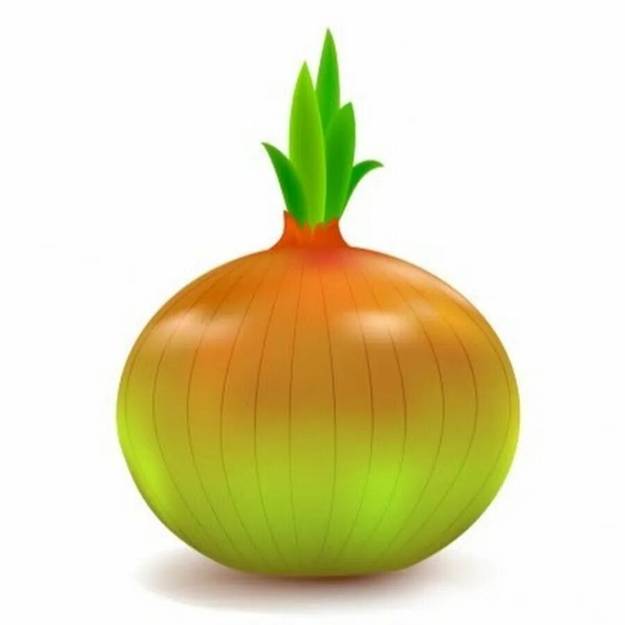 Onion models