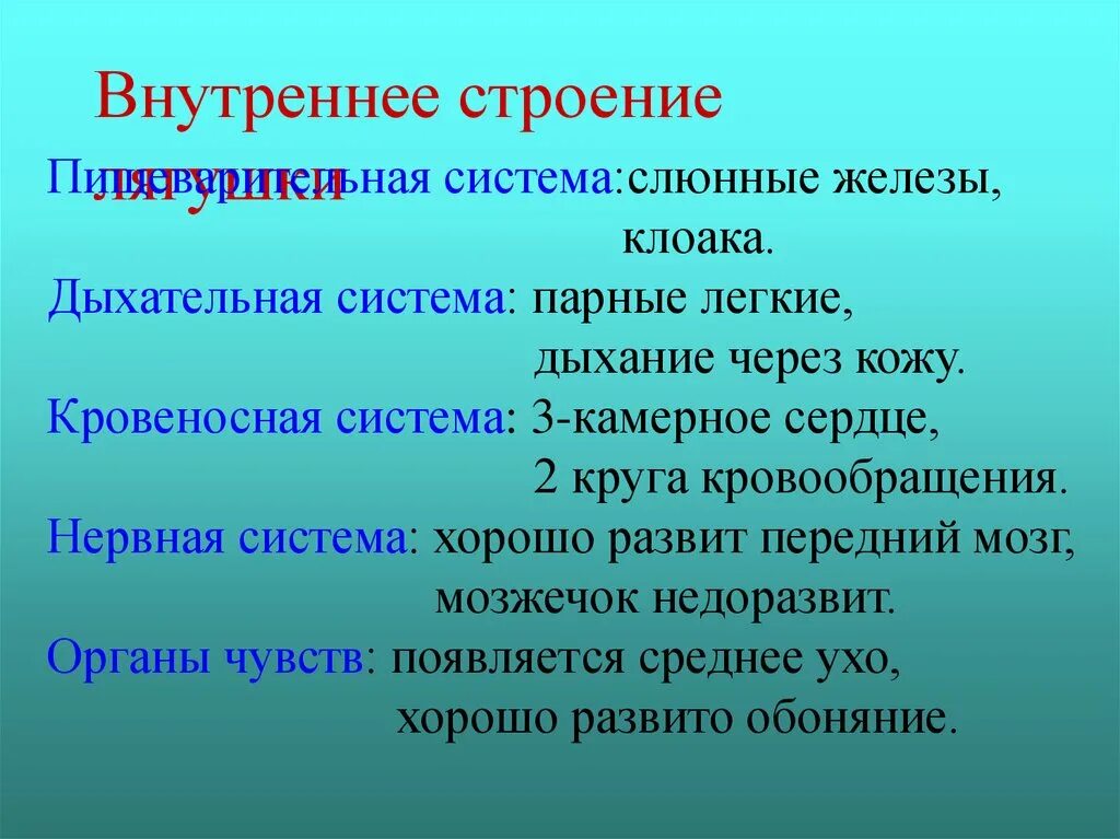 Функции органов лягушки. Особенности строения систем внутренних органов лягушки. система органов лягушки таблица. строение и функции систем внутренних органов лягушки. строение и функции внутренних органов земноводных.