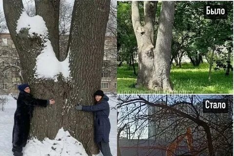 Деревца на версту кругом не увидишь