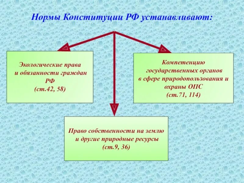 Основные нормы конституции рф