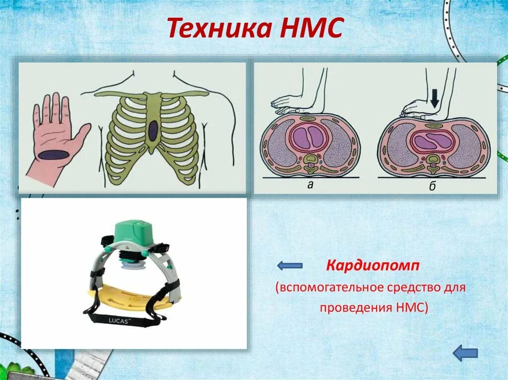 Нмс сайт. Нмс сайт