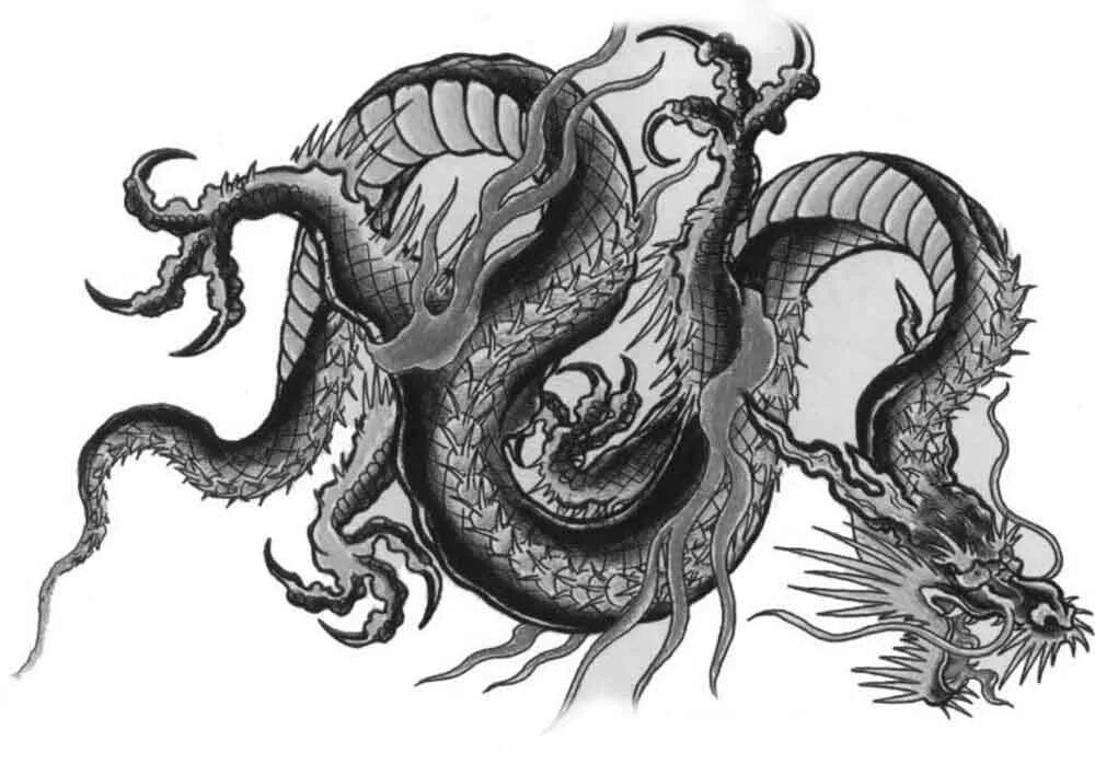 Сюаньлун черный дракон. Китайский огнешар дракон. Китайский Императорский дракон. Сюаньлун дракон мифология. Китайский японский дракон