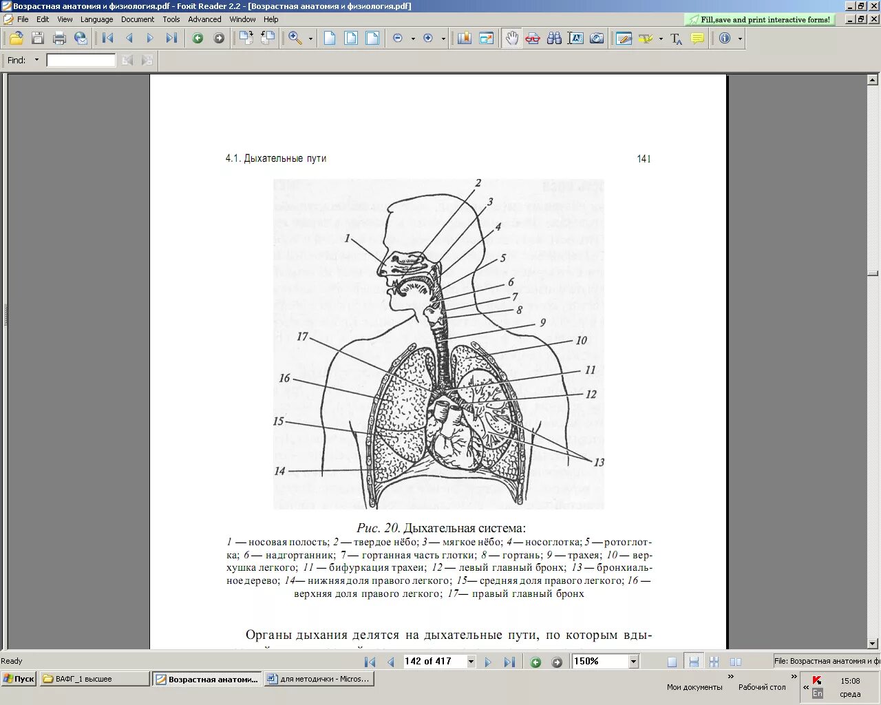 Сделайте подписи к рисунку строение. Динамическая схема дыхательных путей. Рассмотрите строение отделов дыхательной системы. Строение отделов дыхательной системы с обозначениями строение. Дыхательная система с подписями.