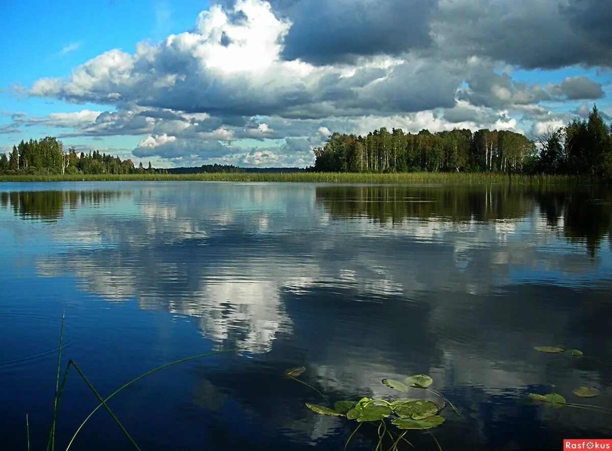 Озеро Лучанское Тверская область. Озеро Бросно в Тверской области. Озеро Лучанское Андреапольский район. Андреаполь озеро Бросно. Озеро д остров