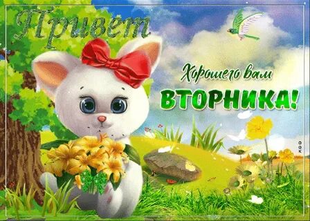 Открытки со вторником и с добрым