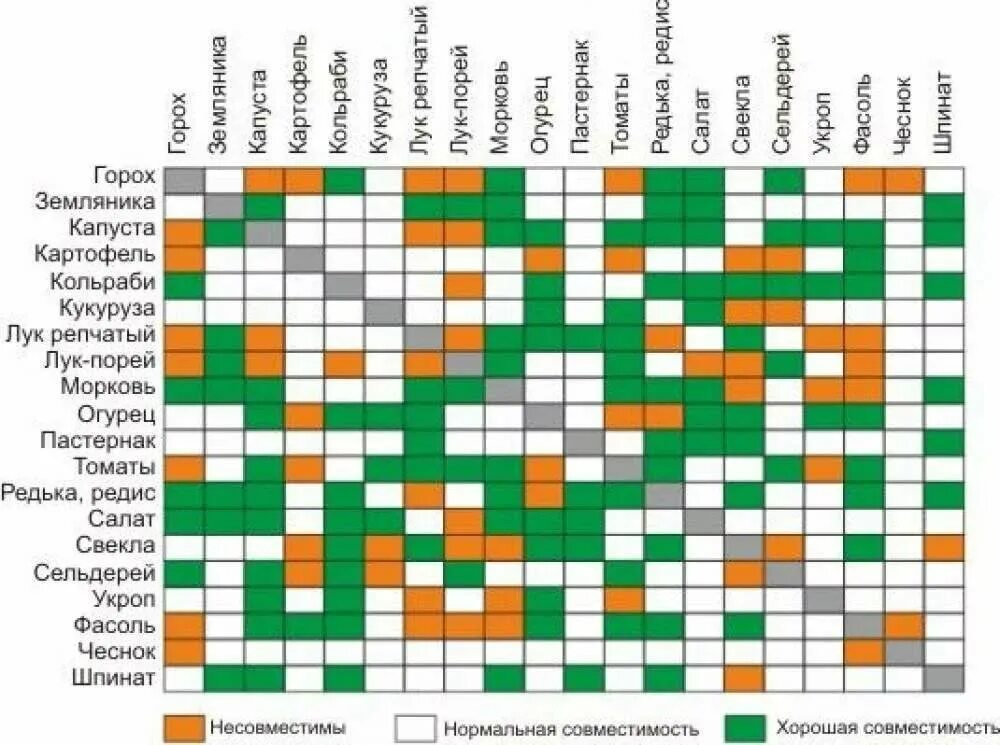 Соседство растений на грядках таблица совместимости. Совместимость плодовых деревьев и кустарников в саду таблица. Соседство плодовых деревьев и кустарников таблица. Соседство овощей на грядках таблица совместимости. Таблица совместимости плодовых растений.