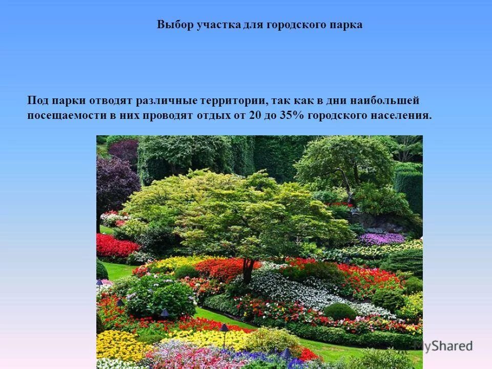 Что красивее всего автор. Проект . Растения полезные для города и парка. Жители городского парка 5 класс биология.