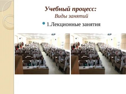Учебный процесс виды