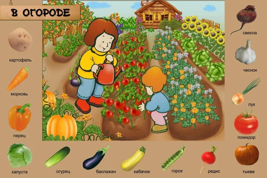 Окружающий мир тема овощи и фрукты. Овощи для дошкольников. Овощи на грядке. Огород с овощами для детей. Карточки для детей огород.