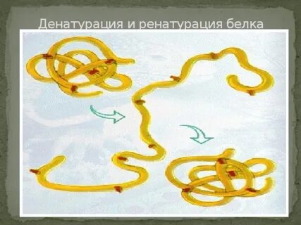 Избирательная денатурация