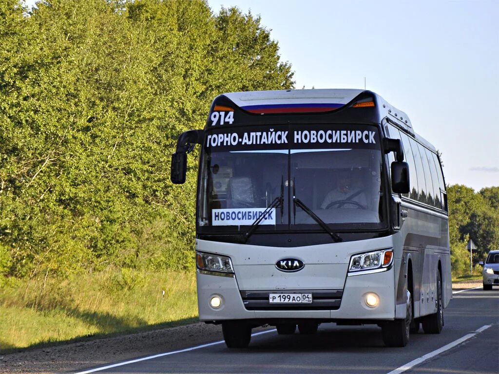 Бийск белокуриха автобус цена. Автобус Новосибирск Горно Алтайск. Барнаул-Горно-Алтайск автобус. Автобус Бийск Горно Алтайск. Бийск Чемал автобус.