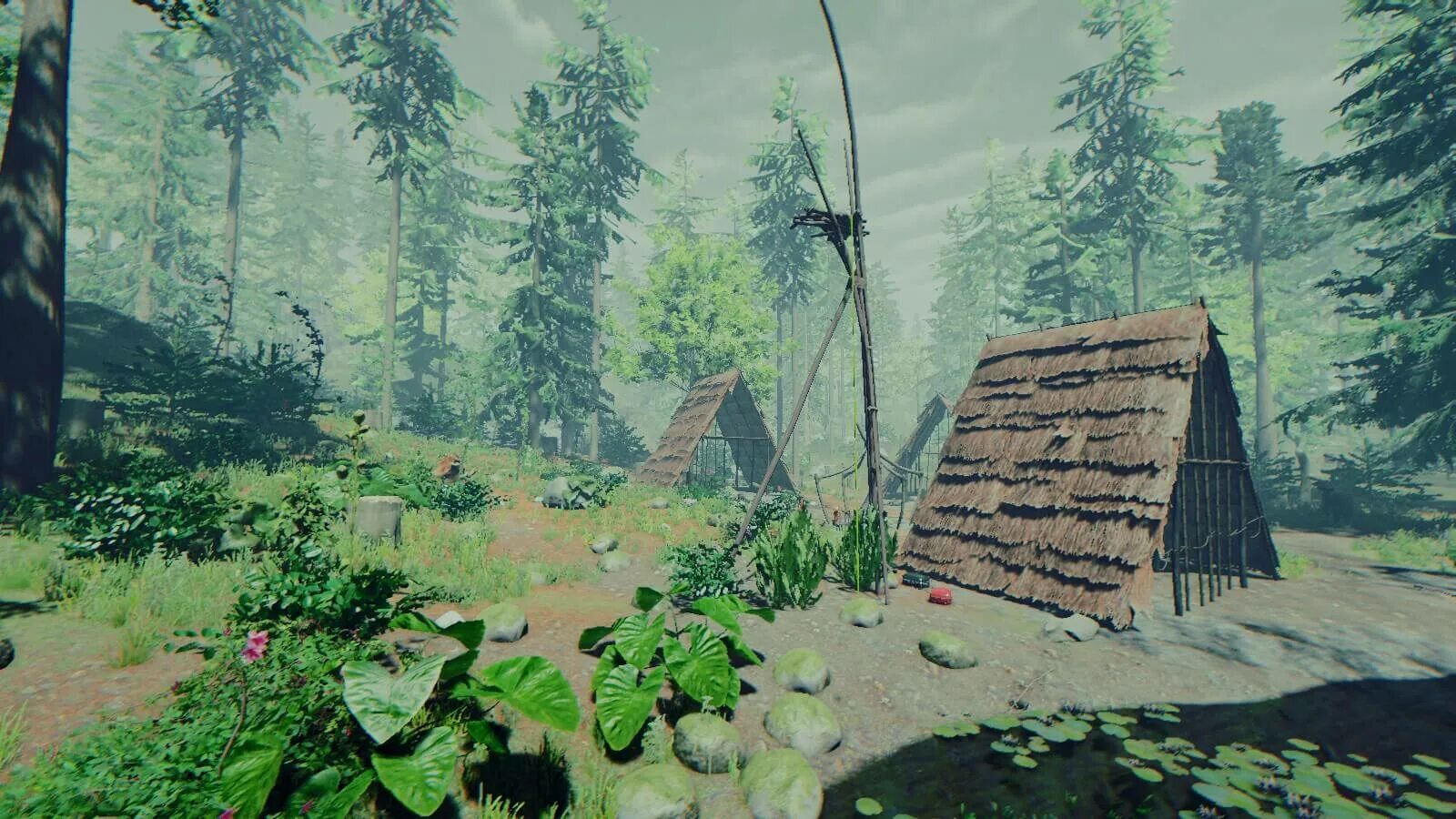 Source forest
