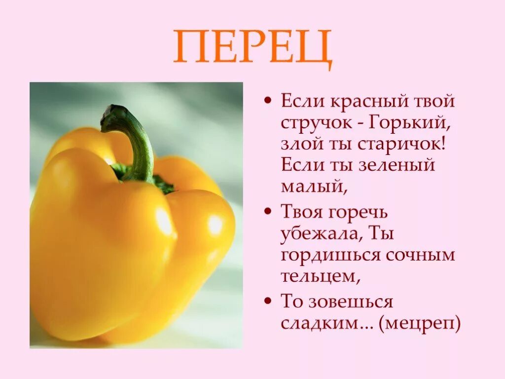 1 класс он перец класс. Загадка про перец. перец для презентации. презентация на тему болгарский перец. загадка про перо.