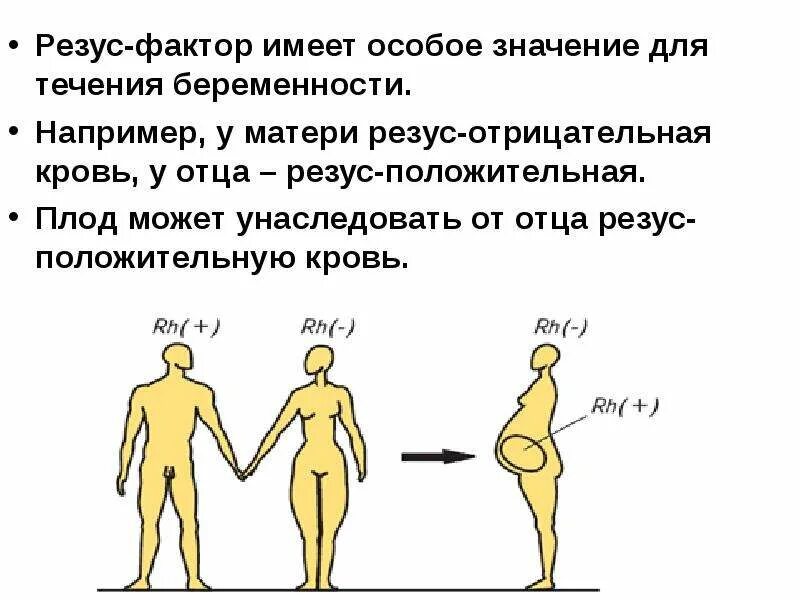 Отрицательный резус-фактор есть агглютинация. Отрицательный резус-фактор обозначение. Значение определения резус-фактора. Резус-фактор отрицательный что значит. Резус фактор изменился