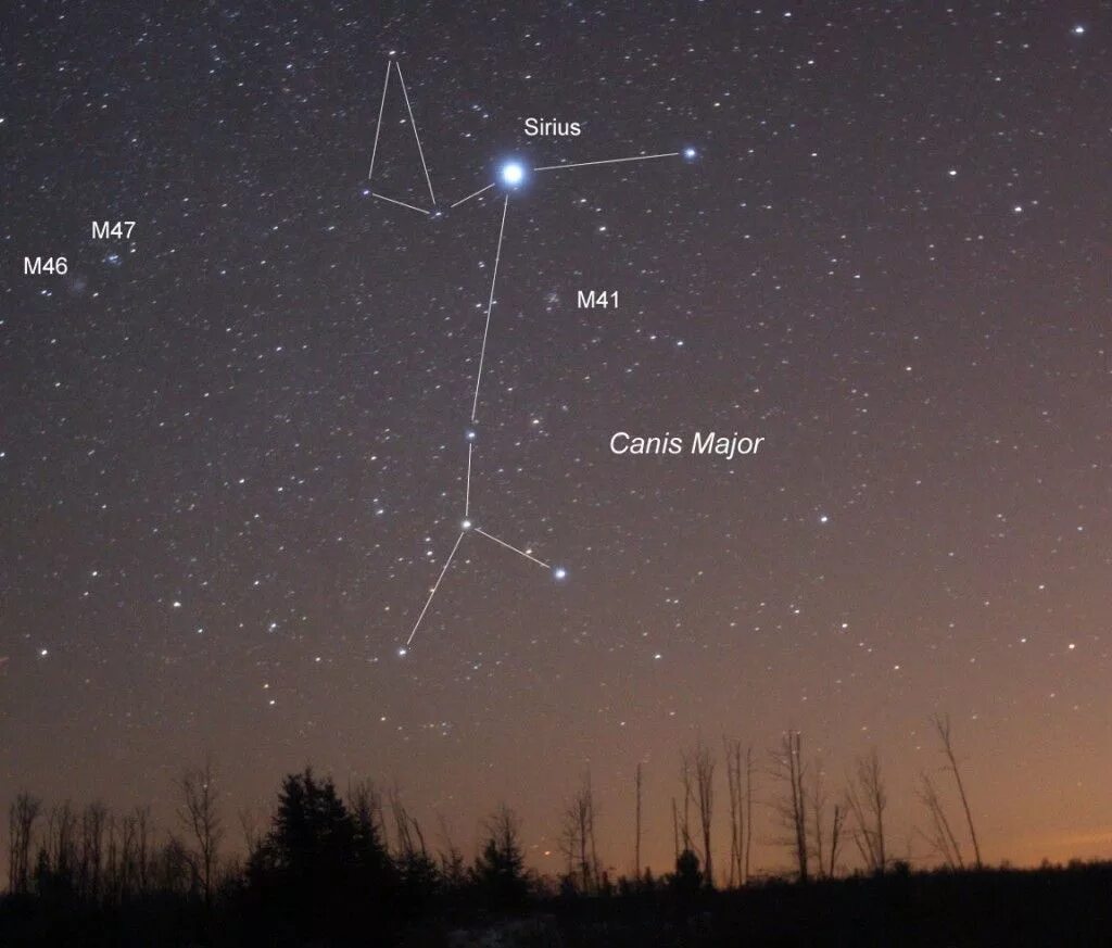 Какая звезда является самой яркой. Сириус звезда в созвездии большого пса. Canis Major Созвездие. Canis Majoris Созвездие. Сириус – яркая звезд созвездия большой пес.