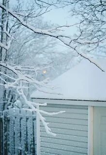 These are snow