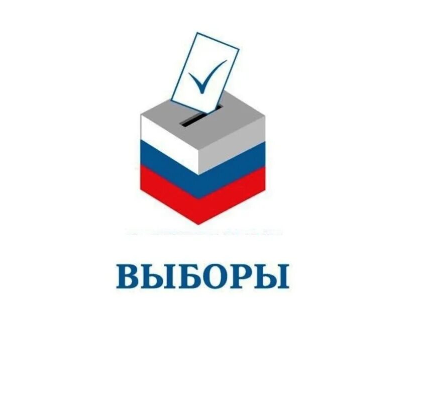 Выборы картинки