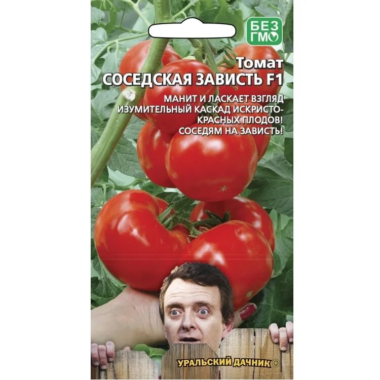 Сорт томата соседская. Семена томат "Уральский Дачник", "соседская зависть", f1, 20 шт.. Томат соседская зависть f1. Томат Дачник (20шт). Томат соседская зависть Уральский Дачник.